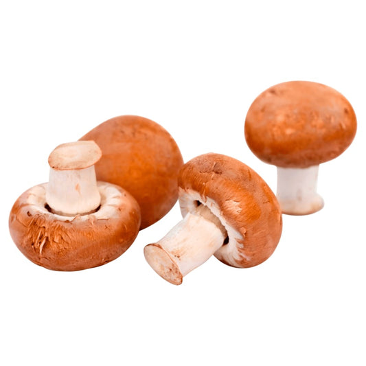 Champignons braun