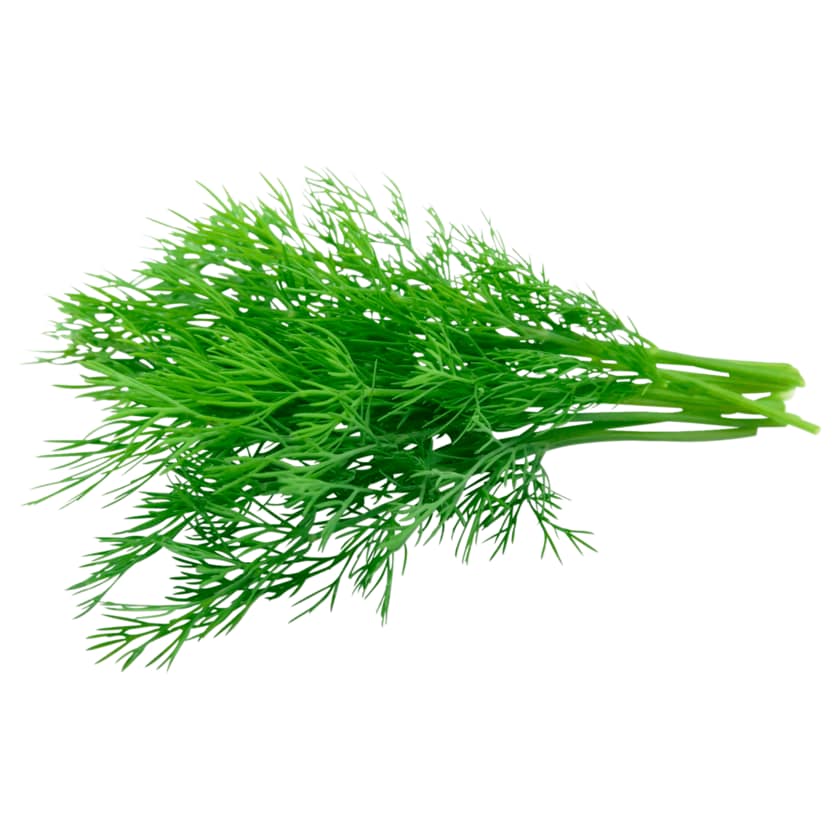 Dill 25g